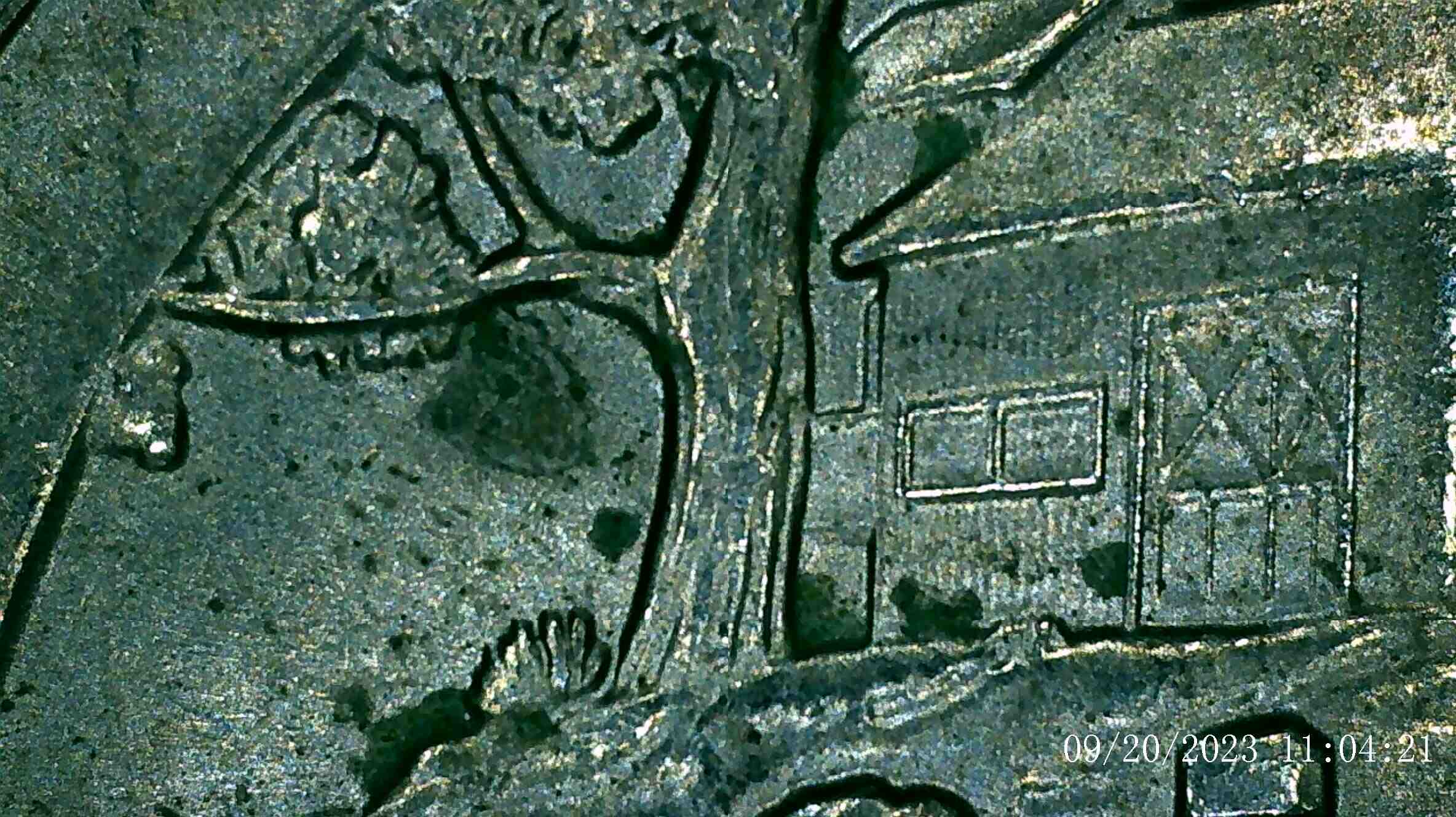 2020-P-Weir-Farms-Quarter-With-Black-Spots-Beehive